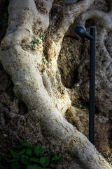 Estaca/Pincho de exterior Faro Brot 81cm LED negro 2700K IP65 80° 60cm 75571