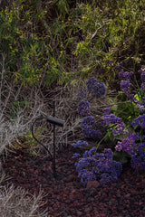 Proyector de exterior Faro Clap LED negro 3000K IP65 24° 24V 6W 75702-232