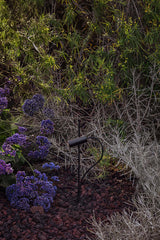 Estaca/Pincho de exterior Faro Clap LED negro 3000K IP65 38° 24V 6W 63cm 75708-233