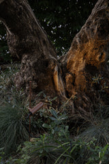 Estaca/Pincho de exterior Faro Clap 63cm LED marrón oxido 3000K IP65 15° 38° 24V 6W 75708-433