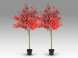 Árbol artificial Schuller Arce Rojo, set de 2 758109X2