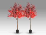 Árbol artificial Schuller Arce Rojo, set de 2 758109X2