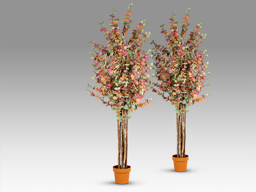 Árbol artificial Schuller Eucalipto Color madera 200cm, set de 2 758321X2