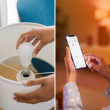 Bombilla LED Philips Gekleurd A60 8,5W E27 806lm 170933 - vista alternativa
