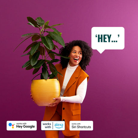 WiZ Lámpara de Negro mesa Elpas 5W 320lm 8720169071797 - imagen 5 | Philips