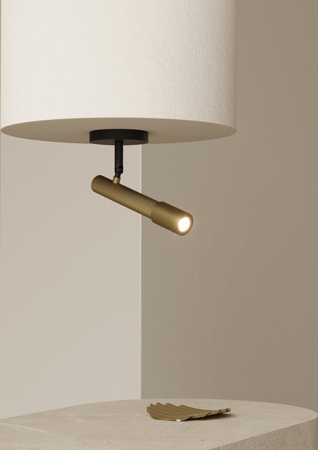 Plafón de techo Aromas Ycro LED acero T1297