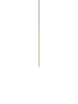 Lodes A-Tube Nano medium · ref. 15827-5020