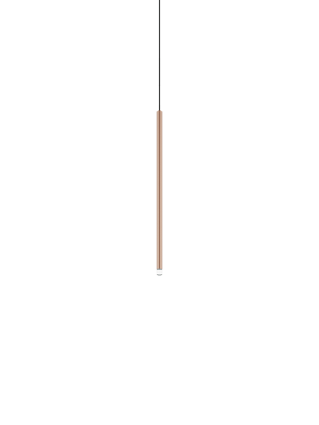 Lodes A-Tube Nano medium · ref. 15827-6735