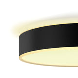 Philips Hue Plafón Enrave negro White Ambiance 10W 6500K 4115830P6 1220lm - imagen 3