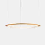 LedsC4 Lámpara de techo colgante Circular Inward Ø3000 Recessed LED 190 Blanco Cálido - 3000K Dali-2/P CD5D-00W9AZDUEF