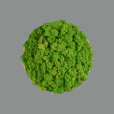 ACB Chamaleon 16/3975 DECO Musgo Verde Claro, Sin iluminación K0003140VEC