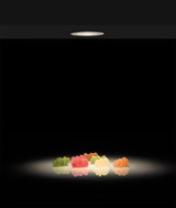 ACB Dot Empotrable 3949/4 Blanco, LED 3W 3000K 245lm, CRI90 I, LED integrado E3949000B