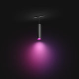 Philips Hue White and Color Ambiance Lámpara colgante Perifo negro RGBW 5W 871951440748000 - imagen 3