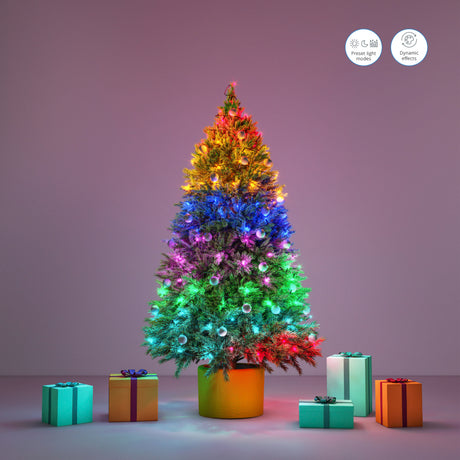 WiZ Guirnalda Negro 15W 120lm 8720169076969 - imagen 8 | Philips