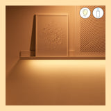 WiZ White and Color Ambiance Tira LED RGBW 13W 840lm 07121600 - imagen 7 | Philips