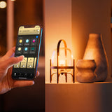 Philips Hue Bombilla White Ambiance E27 8,1W 1100lm (2 uds) 87201