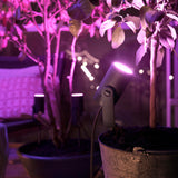 Philips Hue White and Color Ambiance Foco de jardín Lily negro RGBW 8W IP65 1741530P7 590lm - imagen 4