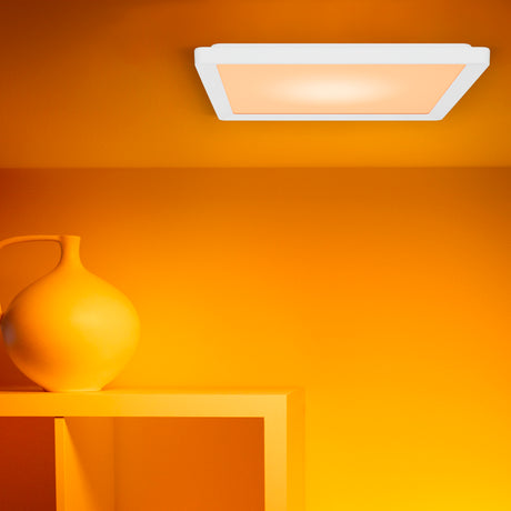 WiZ White and Color Ambiance Plafón RGBW 17W 1600lm 0169077966 - imagen 6 | Philips