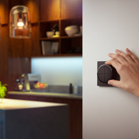 Philips Hue Mando a distancia Tap dial switch negro 0W 871951444093700 - imagen 5