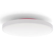 LEDME LM8261