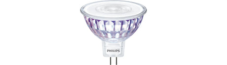 Bombilla LED Philips MA773991