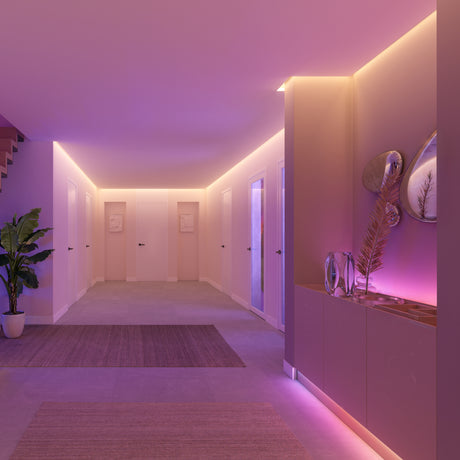 Philips Hue White and Color Ambiance Conector exterior flux blanco RGBW 872110304391700 (4 uds) - imagen 3