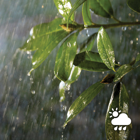 Philips Hue White Aplique de pared Fuzo blanco White 15W IP44 1160lm 38278700 - imagen 10