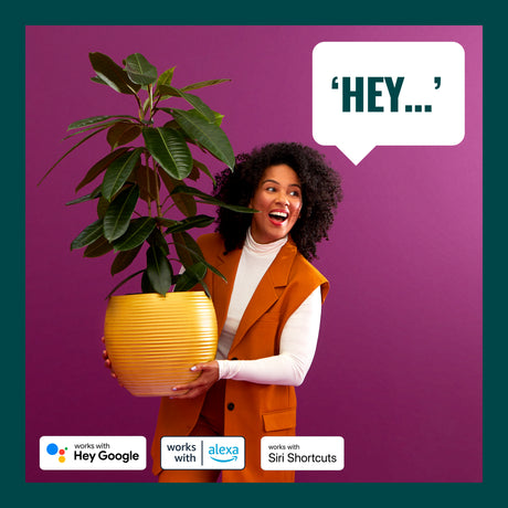 WiZ White and Color Ambiance Tira LED RGBW 13W 840lm 07121600 - imagen 5 | Philips