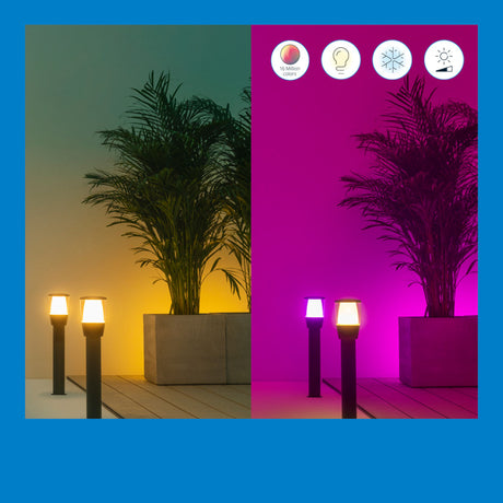 WiZ Lámpara de Negro mesa Elpas 5W 320lm 8720169071797 - imagen 6 | Philips