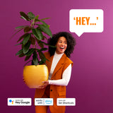 WiZ White and Color Ambiance Lámpara de mesa RGBW 10,5W 800lm (2 uds) 9514554177 - imagen 6 | Philips