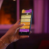 Philips Hue White and Color Ambiance Tira LED plus blanco RGBW 12W 871869970344800 1030lm - imagen 5