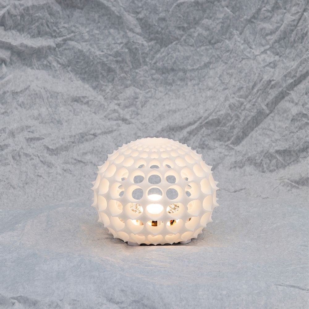 Faro DALIA Lámpara de mesa exterior portátil LED batería blanca 01200