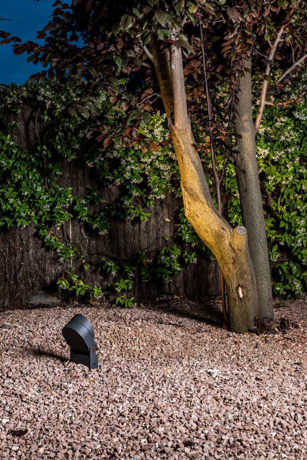 Faro MUUR 210 Dark gray projector lamp 71770