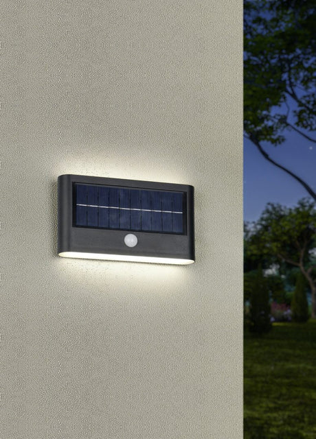 Aplique de exterior Trio Ramos LED negro mate solar 4000K IP44 R24746232
