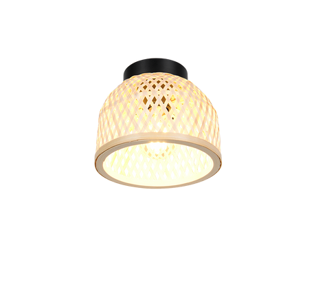 R26091732_4