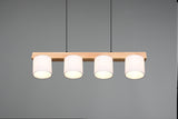 Trio Cameron Lámpara colgante blanca R30654001