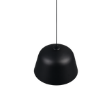 Lámpara de techo colgante Trio Tova LED negro mate 2700K 150cm R36411032