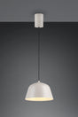 Lámpara de techo colgante Trio Tova LED gris cálido 2700K 150cm R36411076