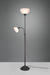 Lámpara de pie Trio Country LED rusty 3000K 184cm R46322024