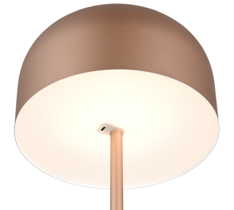 Lámpara de pie Trio Jeff LED marrón café táctil 3000K 147cm R49151165