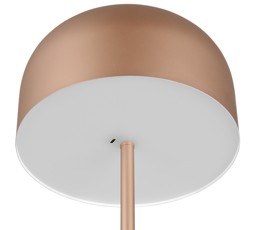 Lámpara de pie Trio Jeff LED marrón café táctil 3000K 147cm R49151165