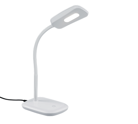 R52431101