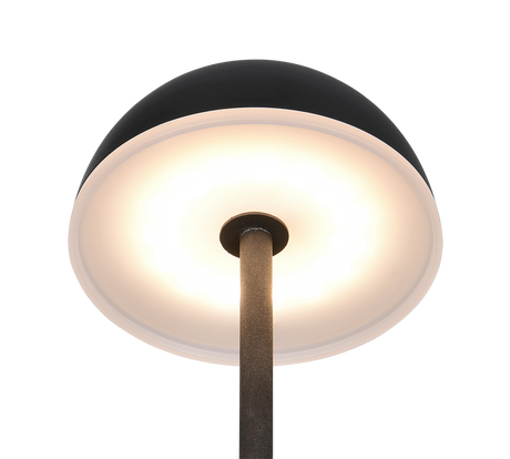 Lámpara de sobremesa Trio Tembo LED negro R53851102