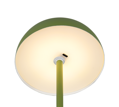 Lámpara de sobremesa Trio Munoz LED green táctil 3000K R54891115