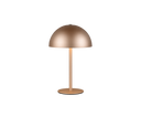 Lámpara de sobremesa Trio Munoz LED marrón café táctil 3000K R54891165