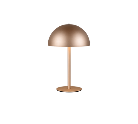 Lámpara de sobremesa Trio Munoz LED marrón café táctil 3000K R54891165