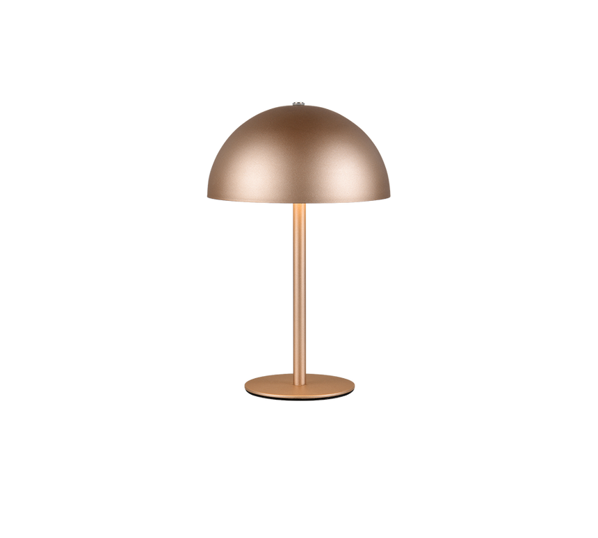 Lámpara de sobremesa Trio Munoz LED marrón café táctil 3000K R54891165