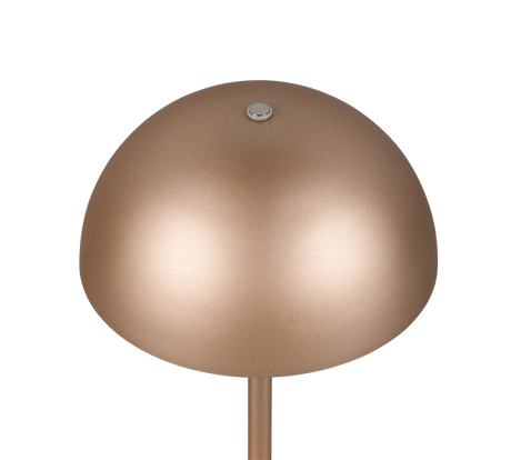 Lámpara de sobremesa Trio Munoz LED marrón café táctil 3000K R54891165