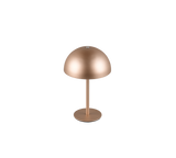 Lámpara de sobremesa Trio Munoz LED marrón café táctil 3000K R54891165