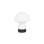 Lámpara de sobremesa Trio Dooley LED táctil 3000K blanco mate — ref. R54981131 (1)